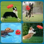 Pet Toy Flying Saucer Ball