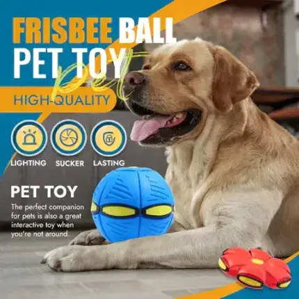 Frisbee Ball Pet Toy