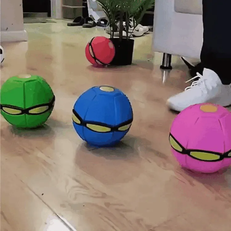 Durable Dog Toy