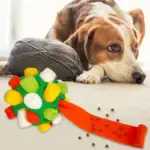Dog Chew Toy Balls