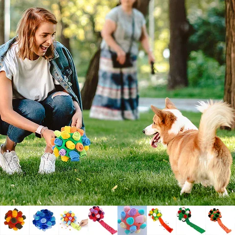 Dog Chew Toy Balls