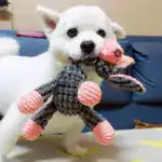 Plush Dog Toys Corduroy