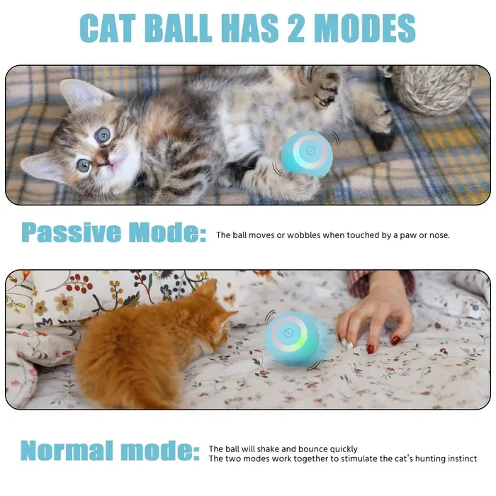 Modes of the cat toy