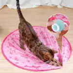 2 in 1 Realistic Interactive Cat Hunting Toy