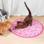 2 in 1 Realistic Interactive Cat Hunting Toy