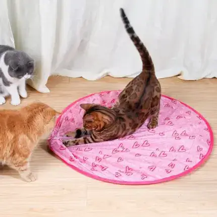 2 in 1 Realistic Interactive Cat Hunting Toy