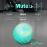 2 in 1 Realistic Interactive Cat Hunting Toy