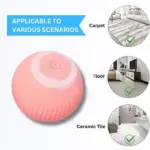 2 in 1 Realistic Interactive Cat Hunting Toy