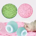 2 in 1 Realistic Interactive Cat Hunting Toy