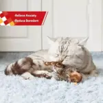 Lifelike Singing Bird Toy