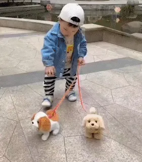 Interactive Pet Dog