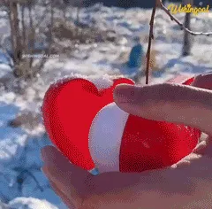 Snowball Maker in Action