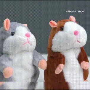 Talking Hamster