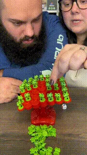 Frog Balance Game