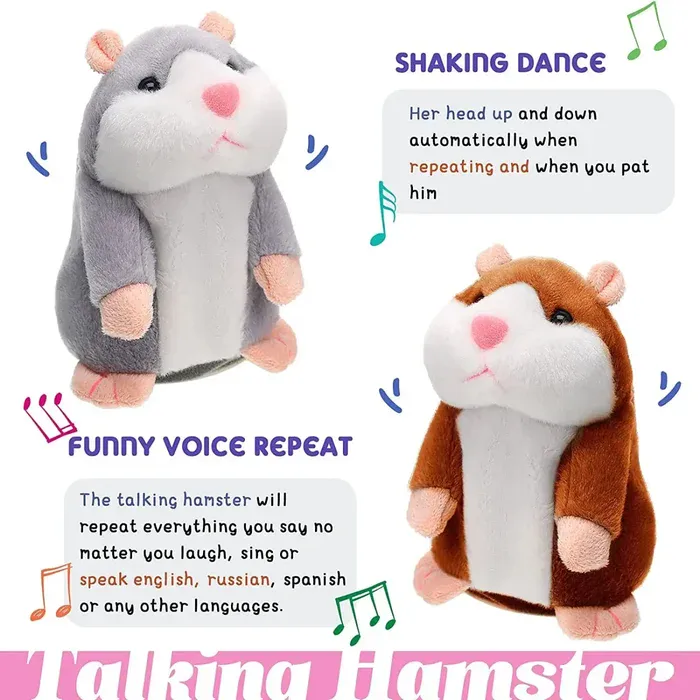 Hamster Gift