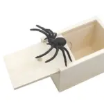 Surprise Jumping Spider Gift