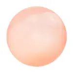 Giant Inflatable Bubble Ball - Image 10