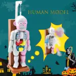 Mannequin Eject Educational Toy - Image 5