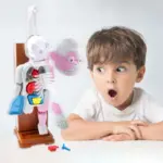 Mannequin Eject Educational Toy - Image 7
