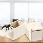 Super Funny Crazy Prank Gift Box Spider - Image 4