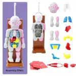 Mannequin Eject Educational Toy - Image 9