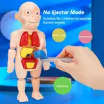 Mannequin Eject Educational Toy