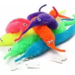 Wacky Worm – The Magically Wiggly Companion That Follows You Everywhere! - Image 6