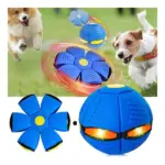 Bouncing Flying Saucer Toy