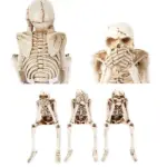 Halloween Fireplace Simulation Skull - Image 9