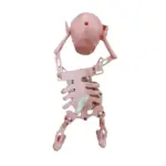Dancing and Swinging 3D Skull Toy - Image 11